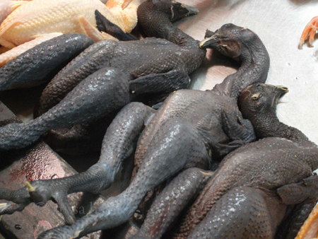 Black Chickens for Sale