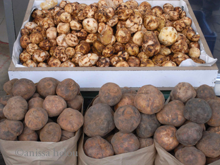 desert truffles-cleaned & not cleaned copy