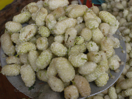 white mulberries 2 copy