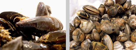 6-cacciucco-mussels and clams