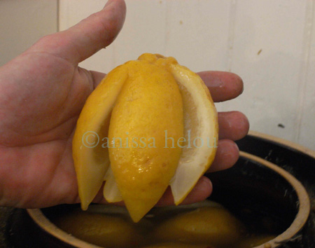 preserved lemons-from leila's shop copy 2
