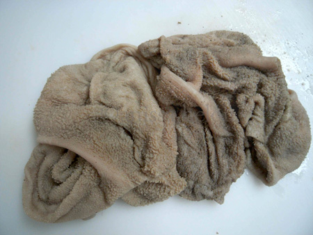 sheep's tripe-before cleaning copy