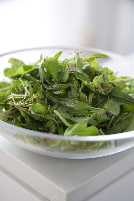 za'tar-fresh thyme & rocket salad