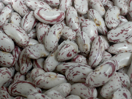 fassulia-shelled beans copy